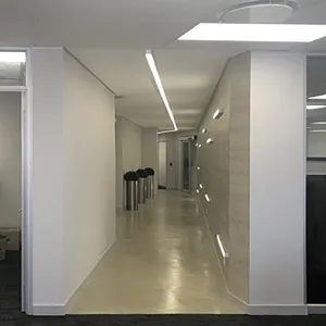 Acoustic Drywalling and Feature Wall